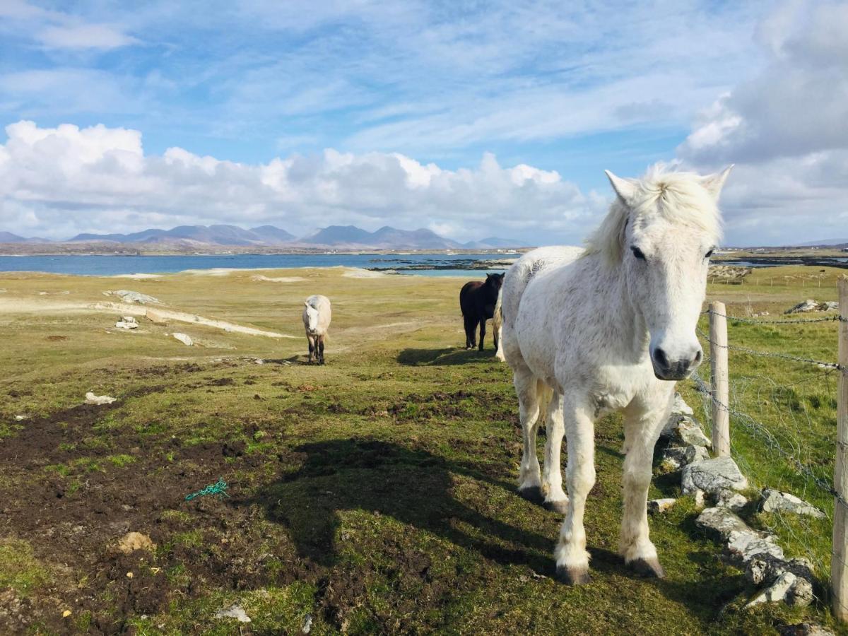 Connemara Sands Hotel & Spa Кліфден Екстер'єр фото